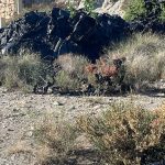 La mierda de los invernaderos Imagen1 2