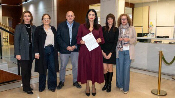 Los diputados provinciales del PSOE en la Diputacion de Almeria