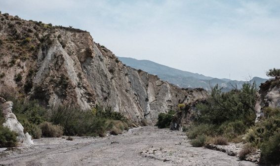Tabernas