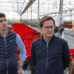 Flor de Pascua. El Ejido