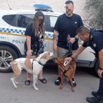 Policia Huercal Overa