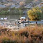 El Salar de los Cano Vera