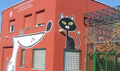 Podemos-IU-Verdes proponen un nuevo Centro Zoosanitario y más recursos para reforzar el bienestar animal en la ciudad de Almería El actual Centro Zoosanitario de Almeria