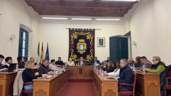 Pleno ayuntamiento de Nijar