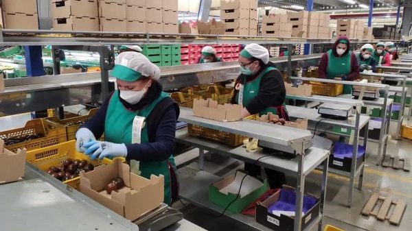 Trabajadoras almerienses