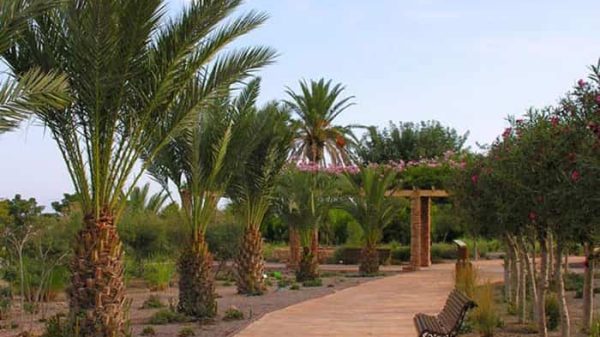 Culminan las obras de renaturalización de El Boticario como pulmón verde de Almería parque el boticario