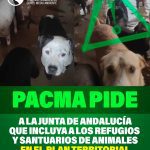 627761963 1447654576721732 2022522873618623254 n