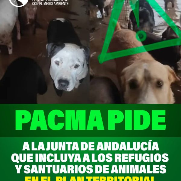 627761963 1447654576721732 2022522873618623254 n