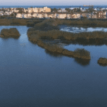 El Salar de los Canos