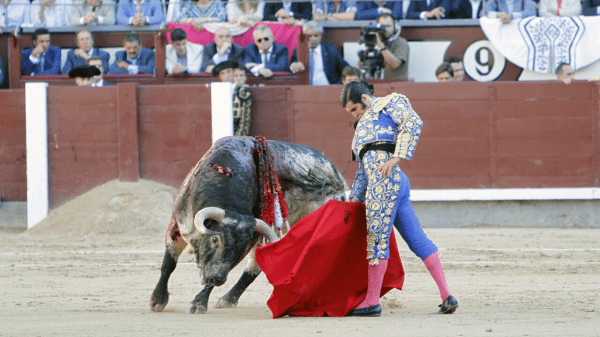 Morante de la Puebla