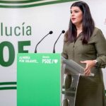 Noemi Cruz diputada provincial del PSOE de Almeria
