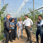 Robos fincas en Nijar