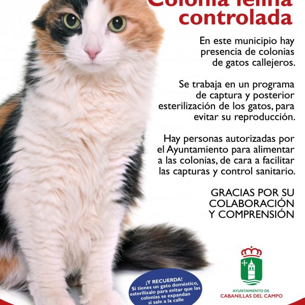 Vecinos y animalistas reclaman al Ayuntamiento de Níjar la implantación urgente del programa CER para colonias felinas Son muchos los ayuntamientos que desarrollan la proteccion de las colonias felinas con el metodo CER. Nijar no