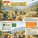 Nueva jornada de reforestación en Alhama de Almería para regenerar el bosque autóctono en la Sierra de Gádor b0661273 193b 406c 9012 bb2917cc1fb5