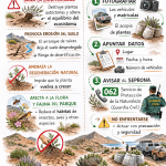 f1b0616b 046e 421b 92ea 536d02c877ec