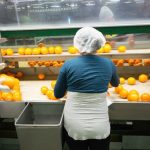 Mujeres manipulando frutas
