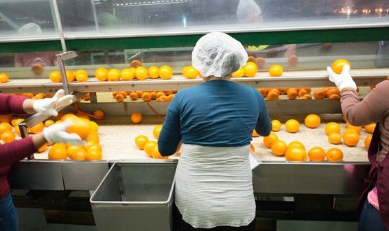 Mujeres manipulando frutas