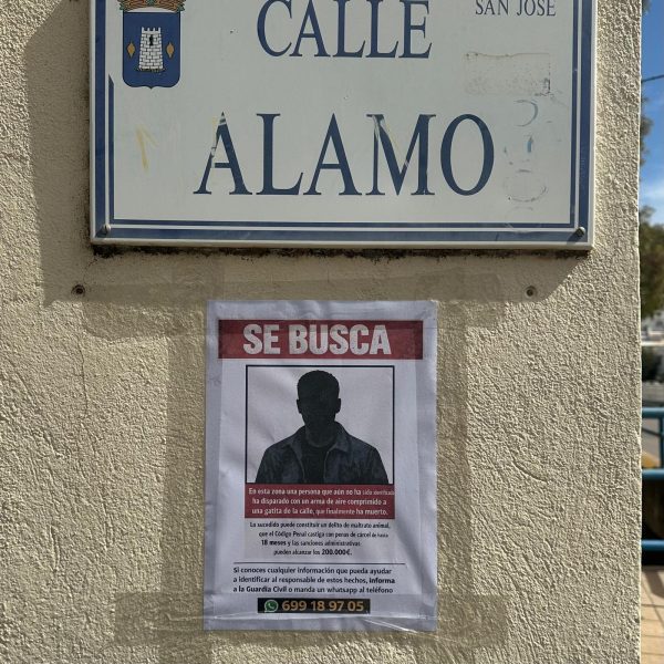 fed42e05 4ff9 43f4 87dc 9179754edeba